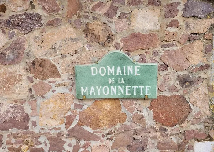 Domaine De La Mayonnette